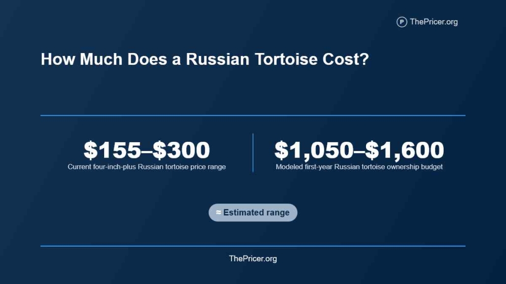 Russian Tortoise Cost