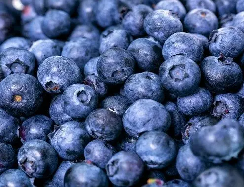 Blueberries Cost