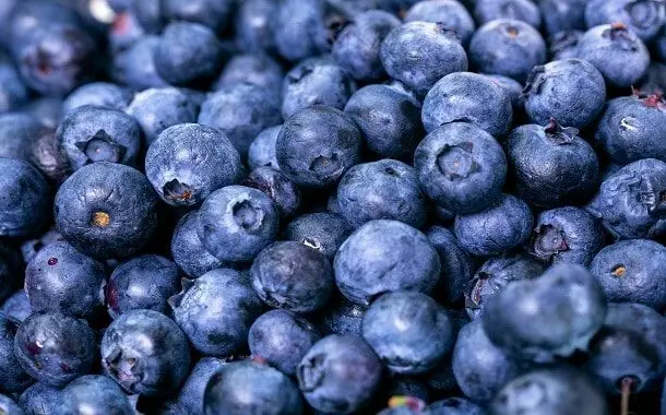 Blueberries Cost