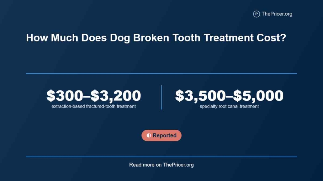 Dog Broken Tooth Cost