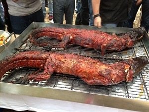 Alligator Meat on Barbeque