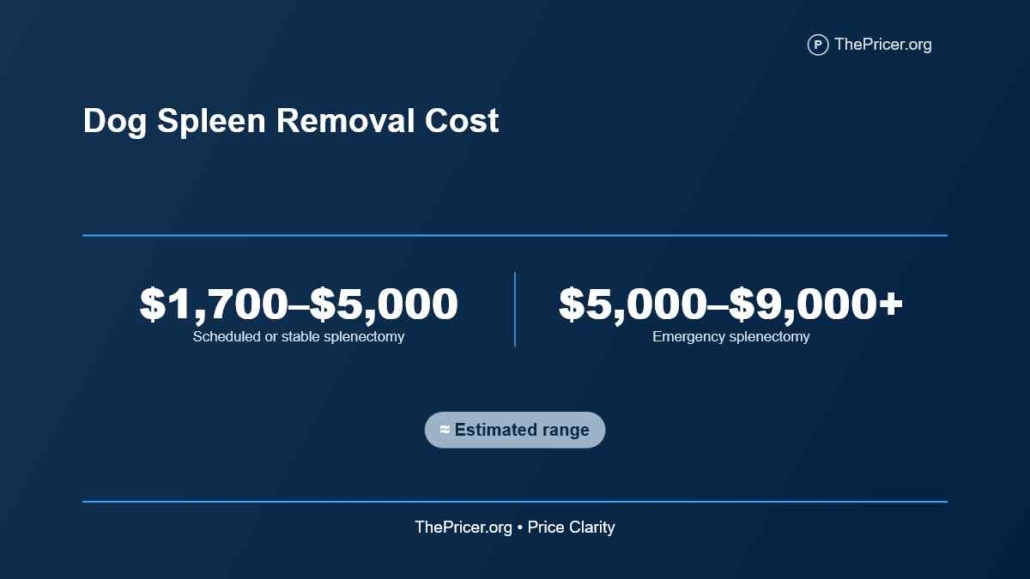 Dog Spleen Surgery Cost