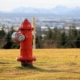 Fire Hydrant Cost
