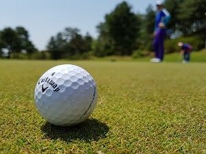 Golf Ball on Field