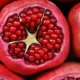 Pomegranate Cost