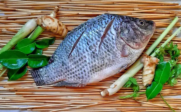 Tilapia Cost