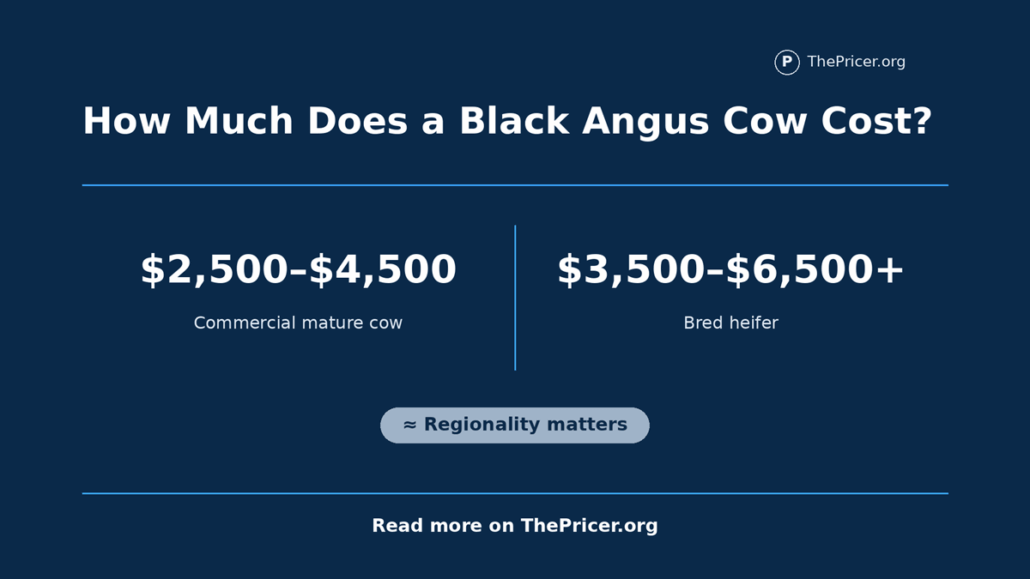 Angus Cow Cost