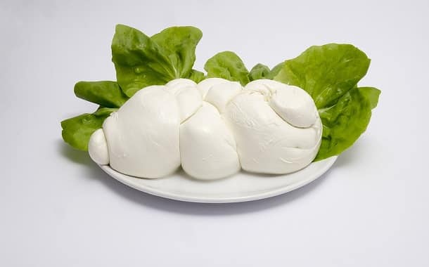 Mozzarella Cheese Cost