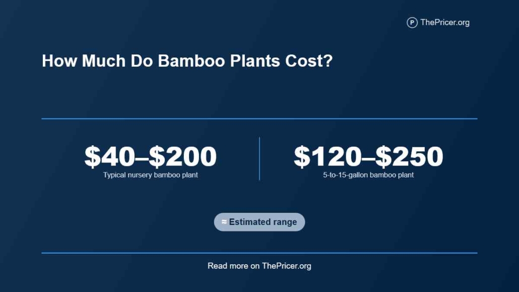 Bamboo Plant Cost