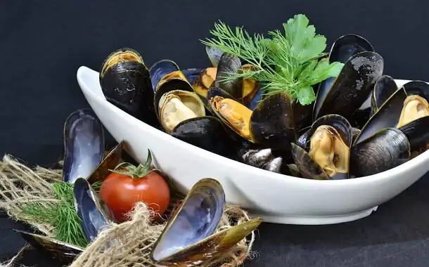 How much do mussels cost?