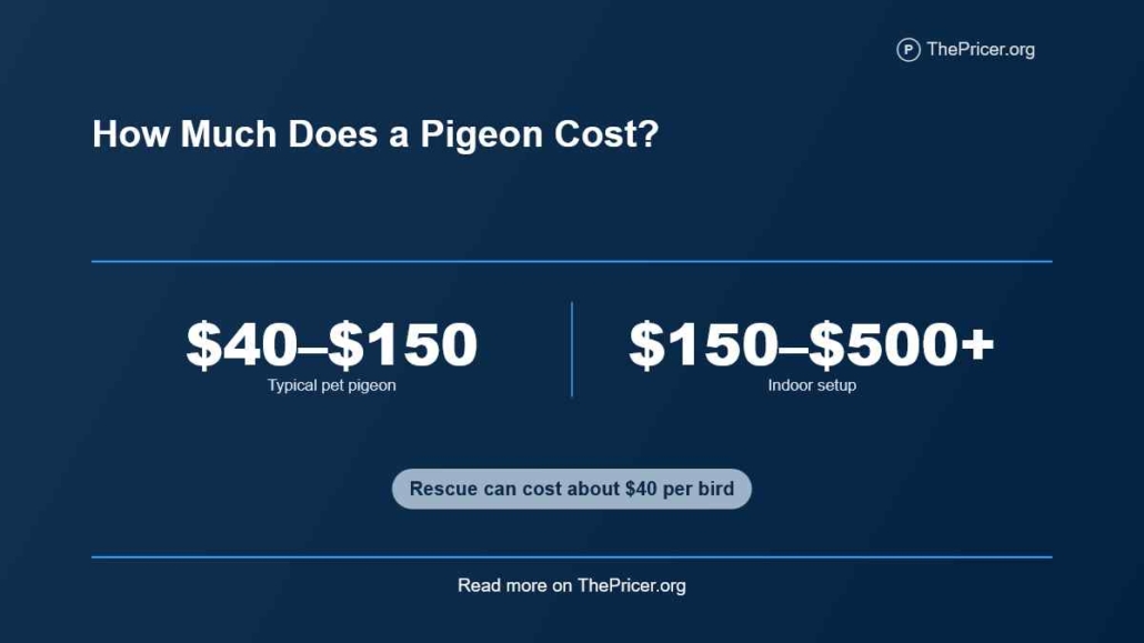 Pigeon Cost