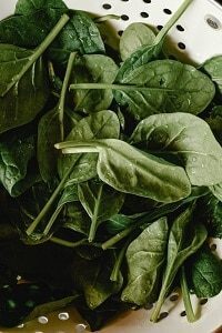 Spinach Leaves