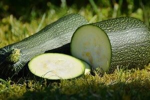 Fresh Zucchini Prices