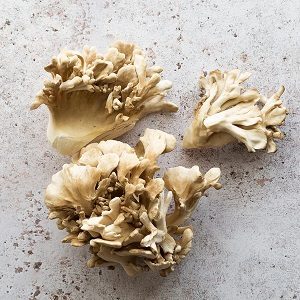 Maitake Mushrooms