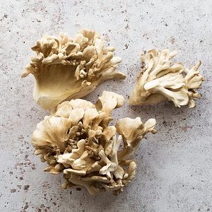 Maitake Mushrooms