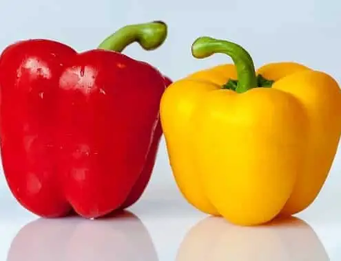 Bell Peppers Cost