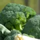 Broccoli Cost