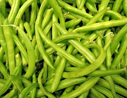 Green Beans Cost Green Beans Cist