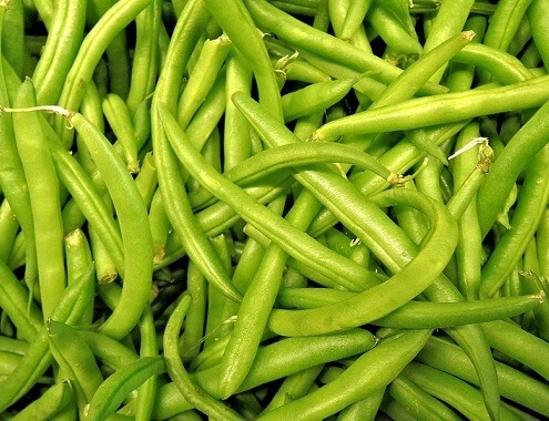 Green Beans Cist