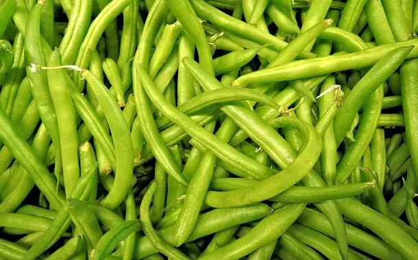 Green Beans Cist