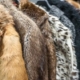 Mink Fur Coat Cost