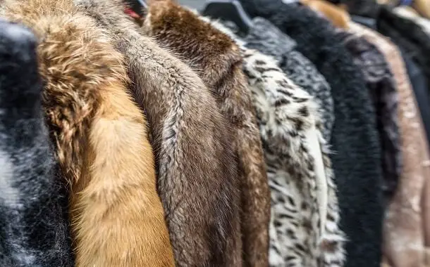 The Cost Of A Mink Coat In 2022, Real Fur Coat Cost