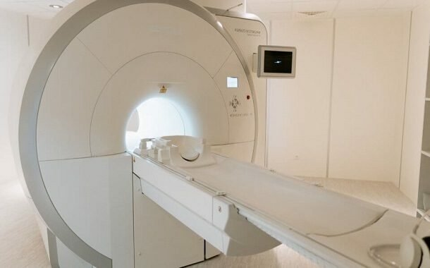 Dog CT Scan Cost