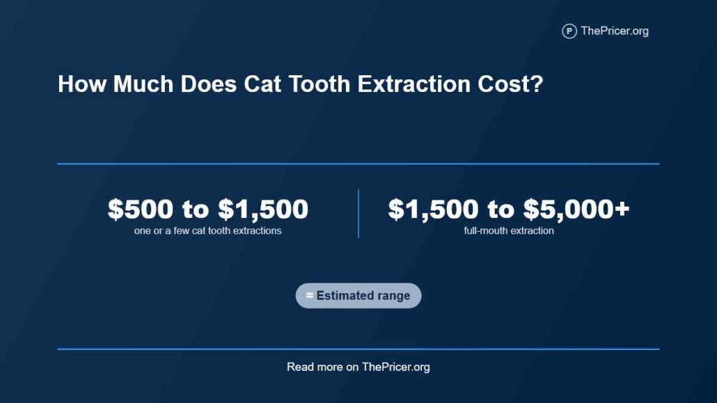 Cat Tooth Extraction