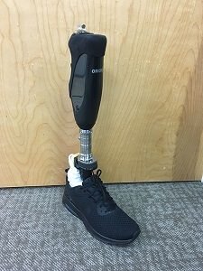 Prosthesis for a Leg