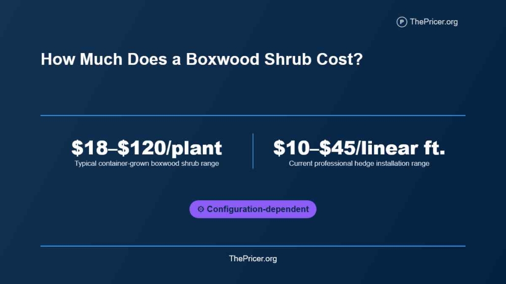 Boxwood Shrub Cost