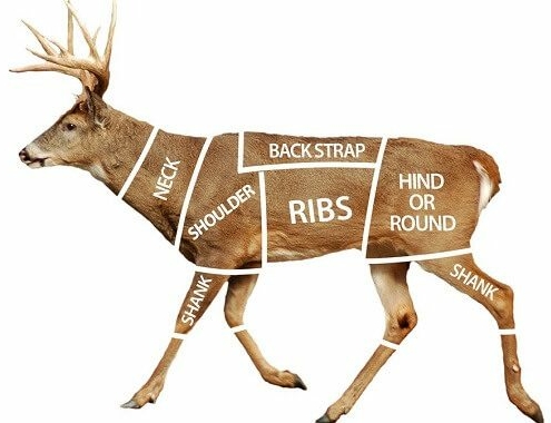 Deer Processing Cost Deer Processing Cost