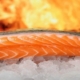 Salmon Cost