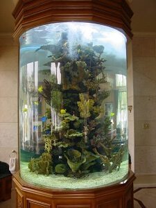 ATM Aquarium