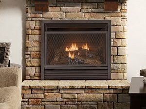 Fireplace Insert