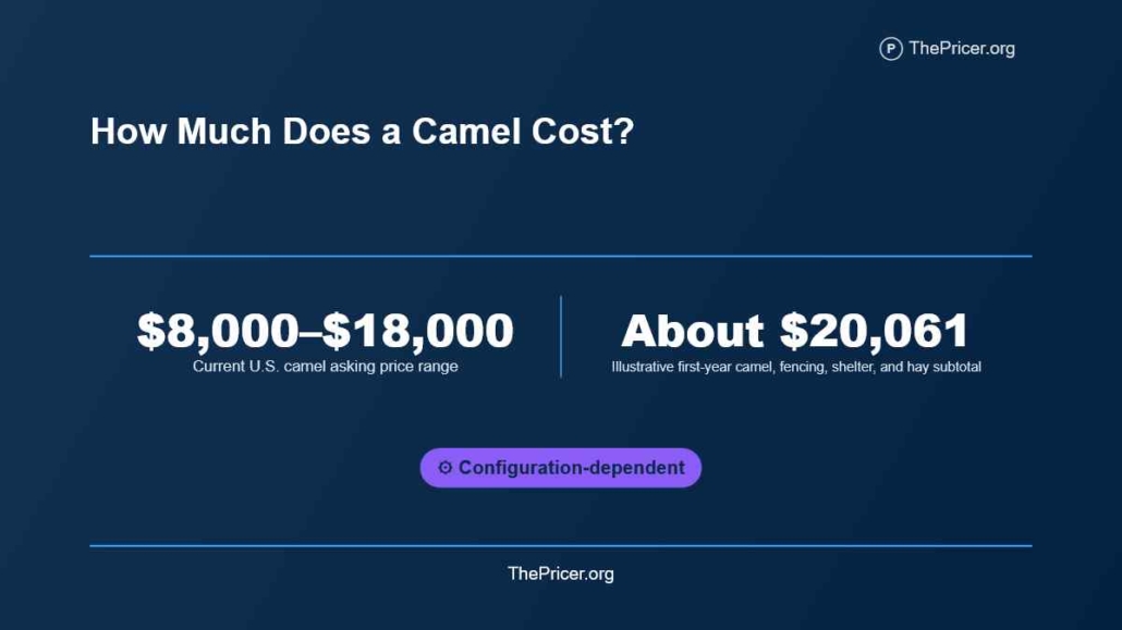 Camel Cost