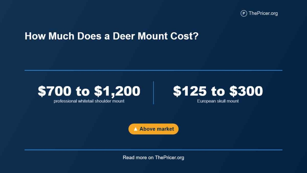 Deer Mount Cost