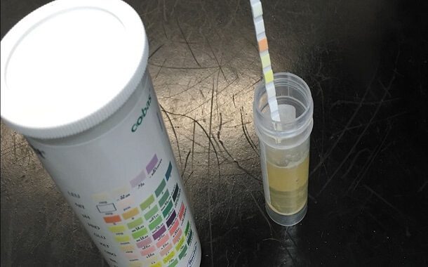 Dog Urinalysis Cost