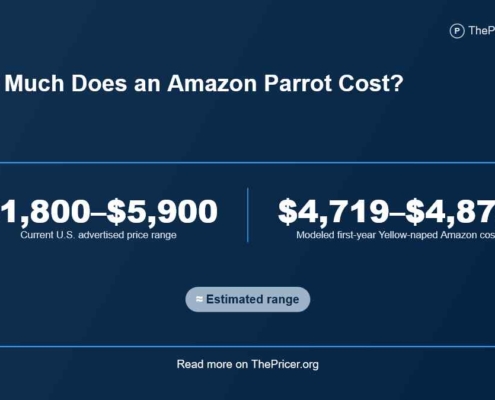 Amazon Parrot Cost