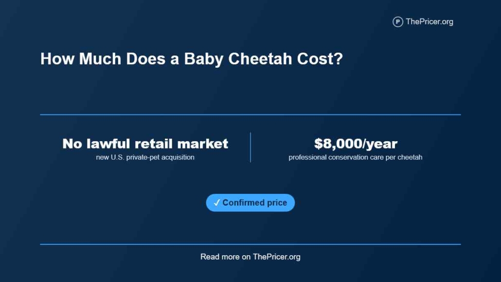 How Much Does a Cheetah Cost