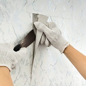 Old Wallpaper Removal