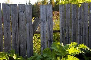 Damaged Wooden Fence