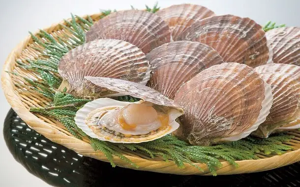 Scallops Cost