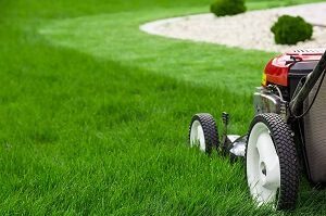 Tractor Like Lawn Mower