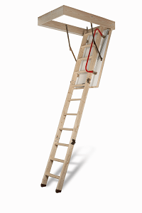 Attic Ladder Model