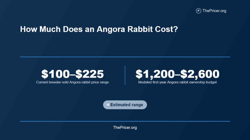 Agora Rabbit Cost