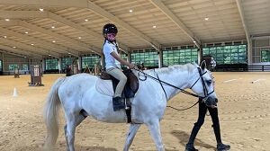Horse Riding Lessons Cost