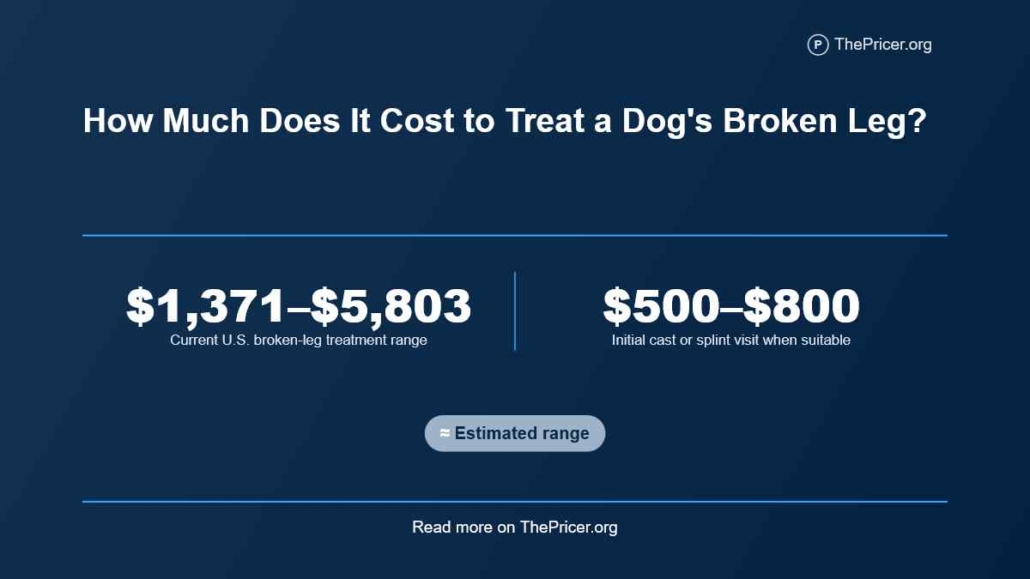 Dog Broken Leg Treatment