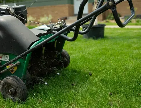 Lawn Aeration Services Cost