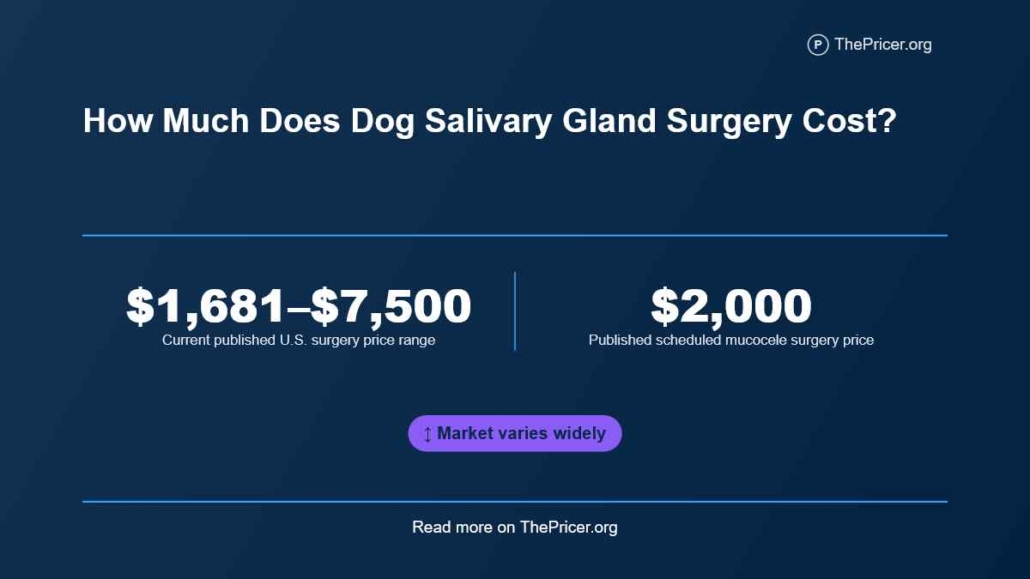 Dog Salivary Gland Surgery Cost
