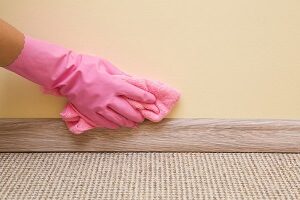 Deep Cleaning Costs